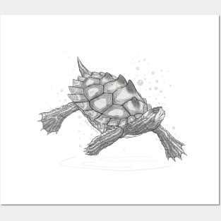 Yellow Blotch Map Turtle Art Posters and Art